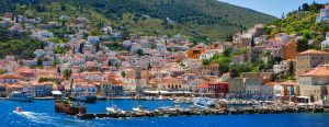 Image of Hydra